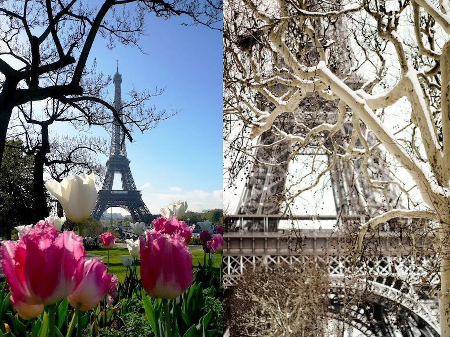 Най-романтичните места в Париж, на които да се обясните в любов