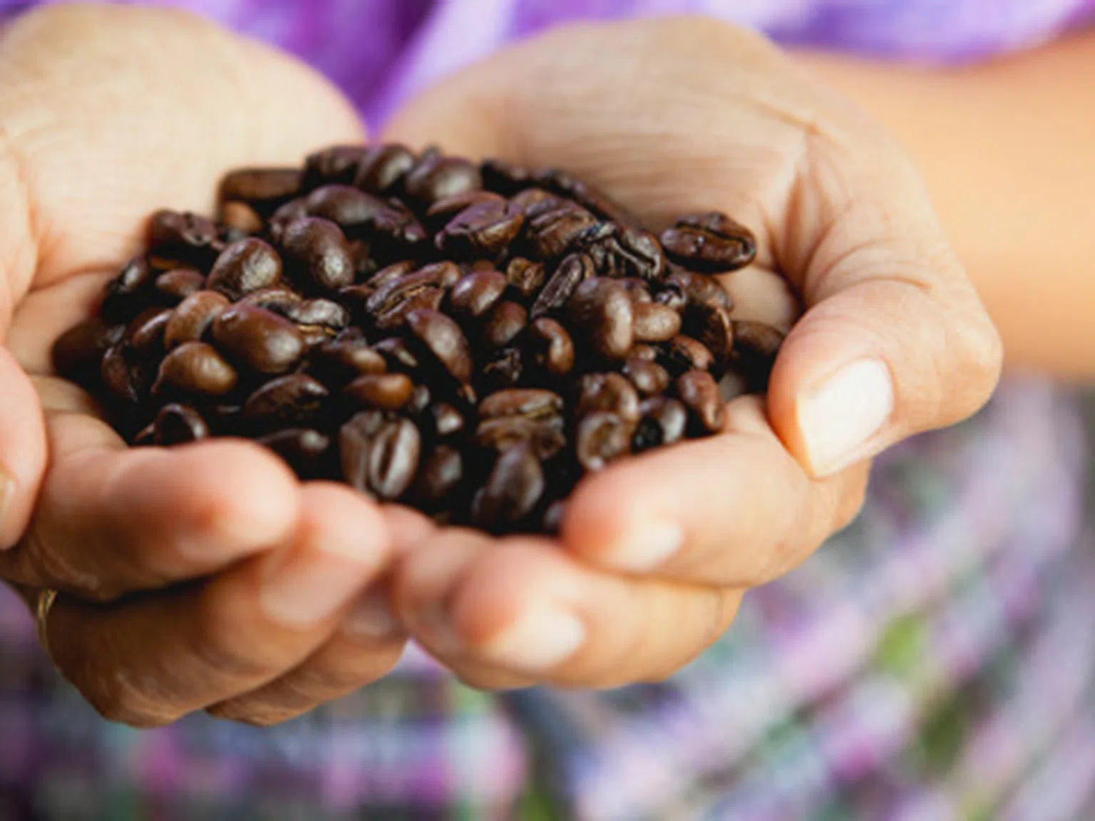 Тайни за ценители: Съхранение на кафето в домашни условия