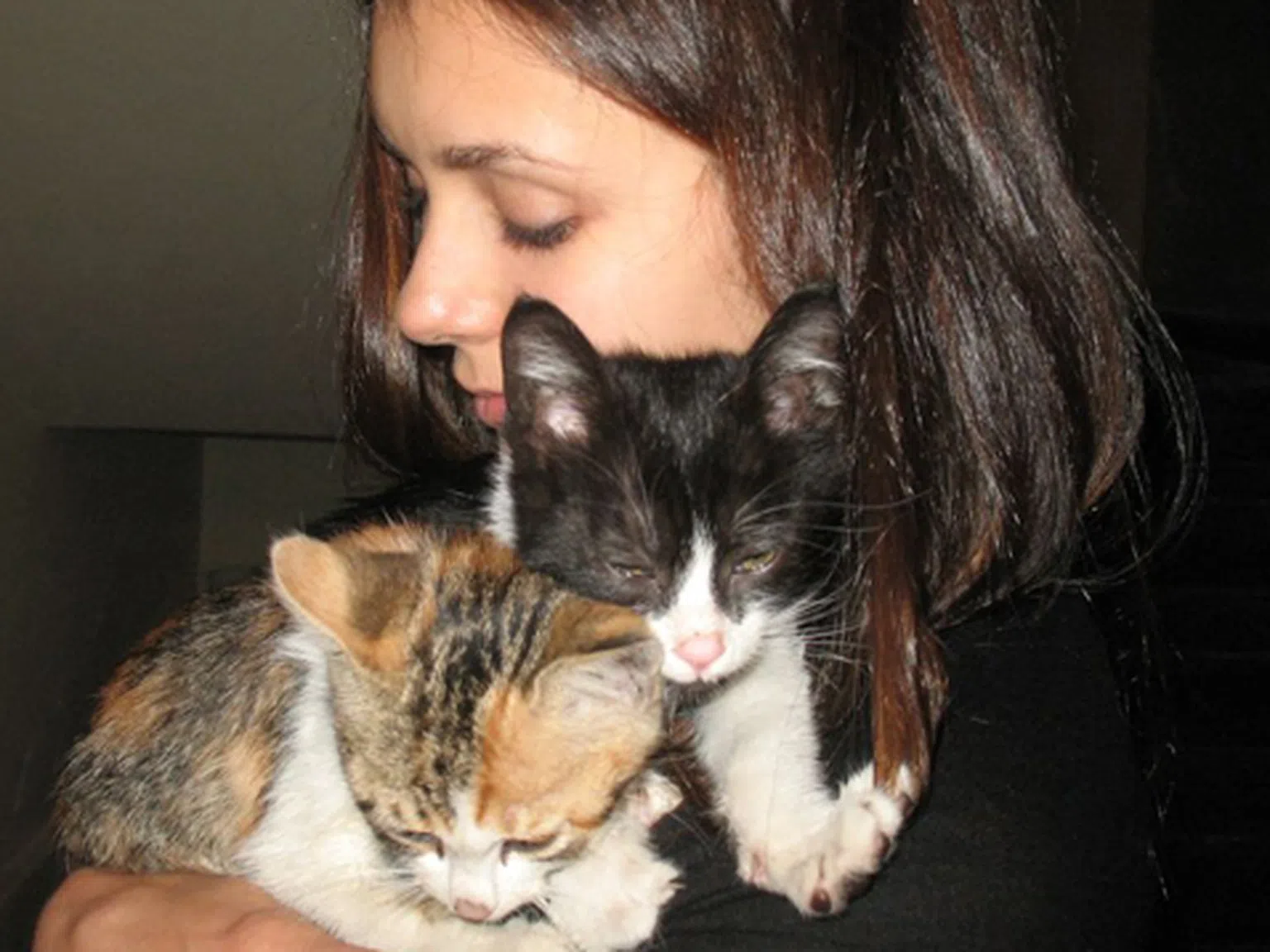 Нина Добрев се влюби в две български котета