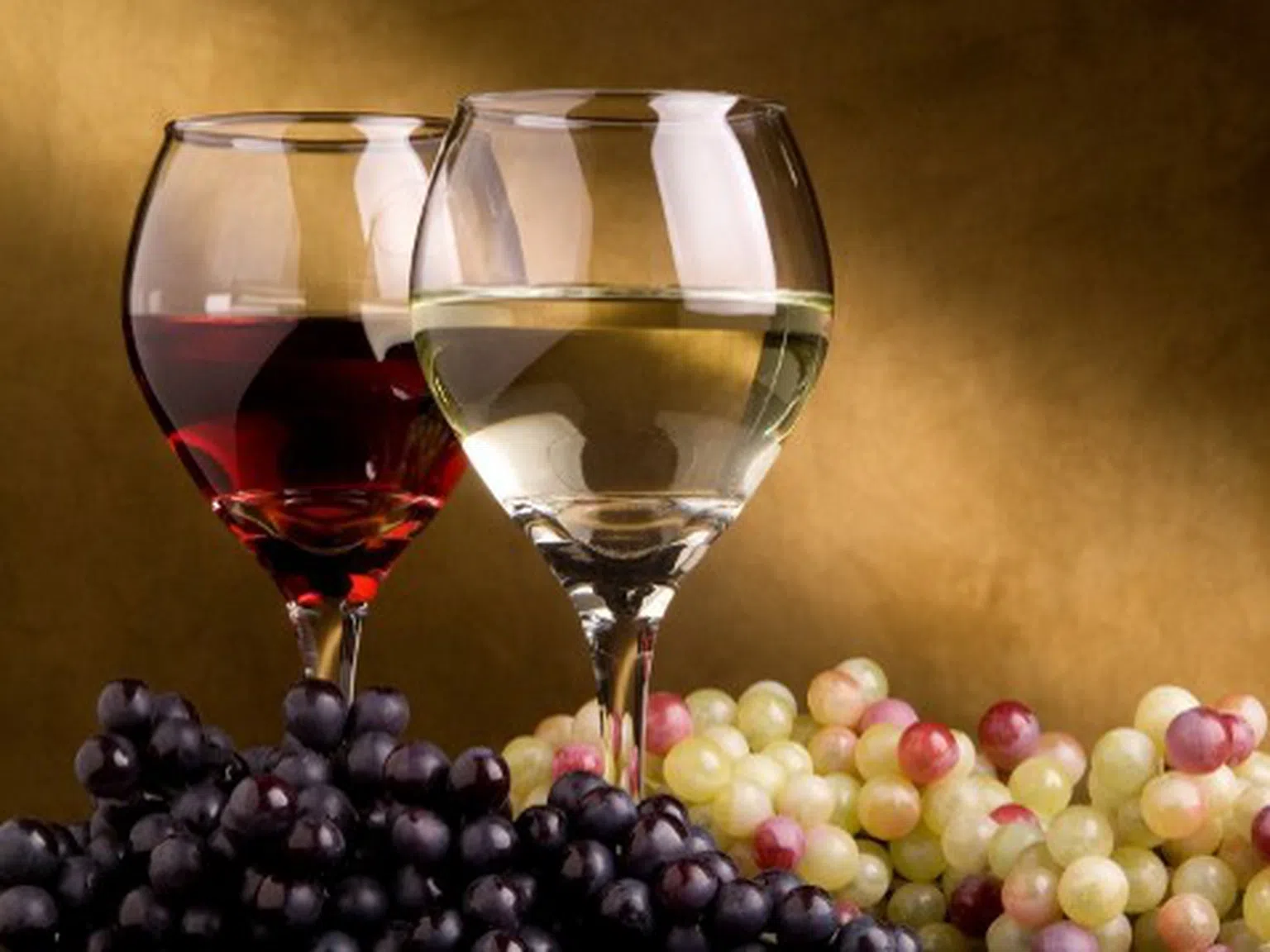 София става столица на балканското вино