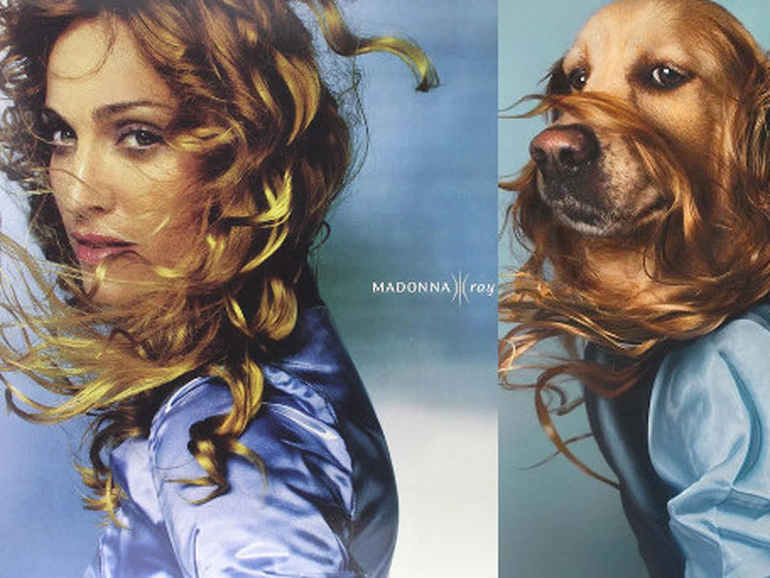 Куче взриви Интернет с уникалните си фотопародии на Мадона (Снимки)
