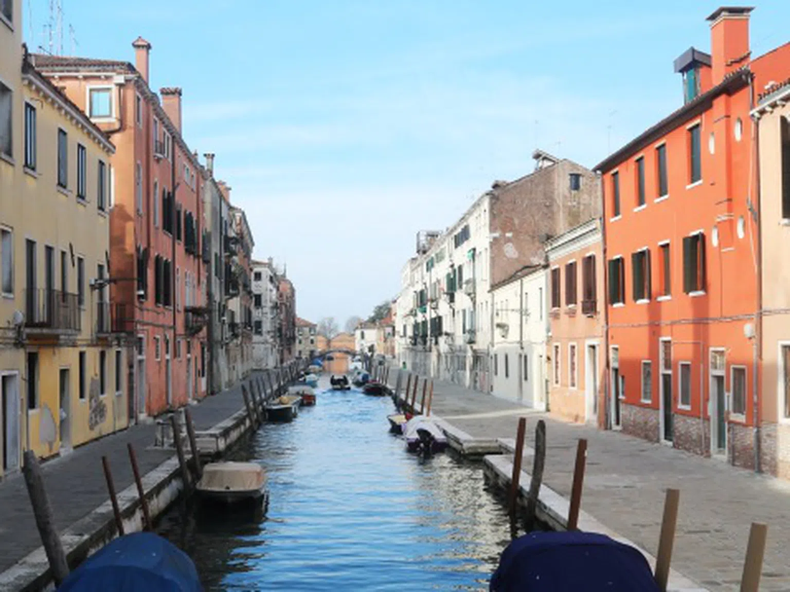 Делфините се върнаха в каналите на Венеция (снимки)