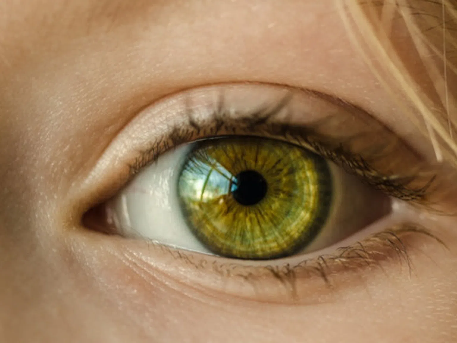 Тайната е в храната: Боровинки срещу перде на очите и пъпеш за здрава ретина