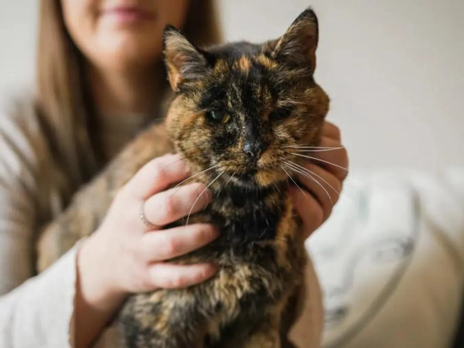 Ето я Флоси, най-старата котка в света