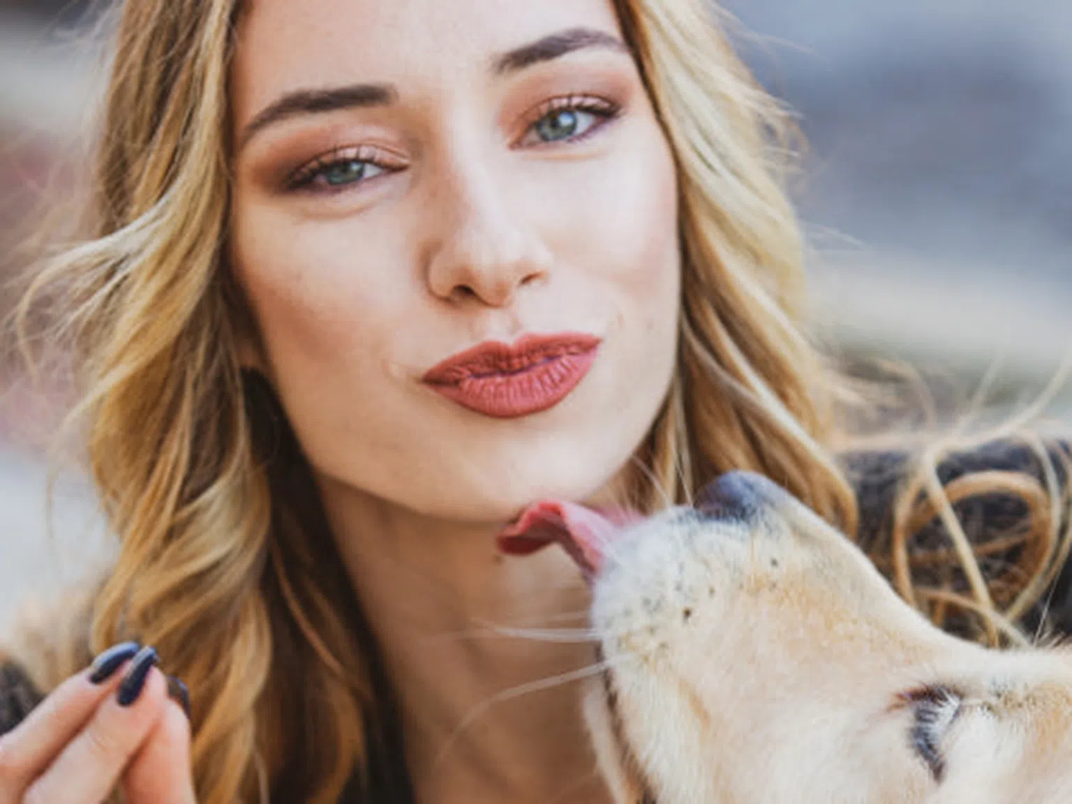 5 причини кучетата да облизват лицето ви