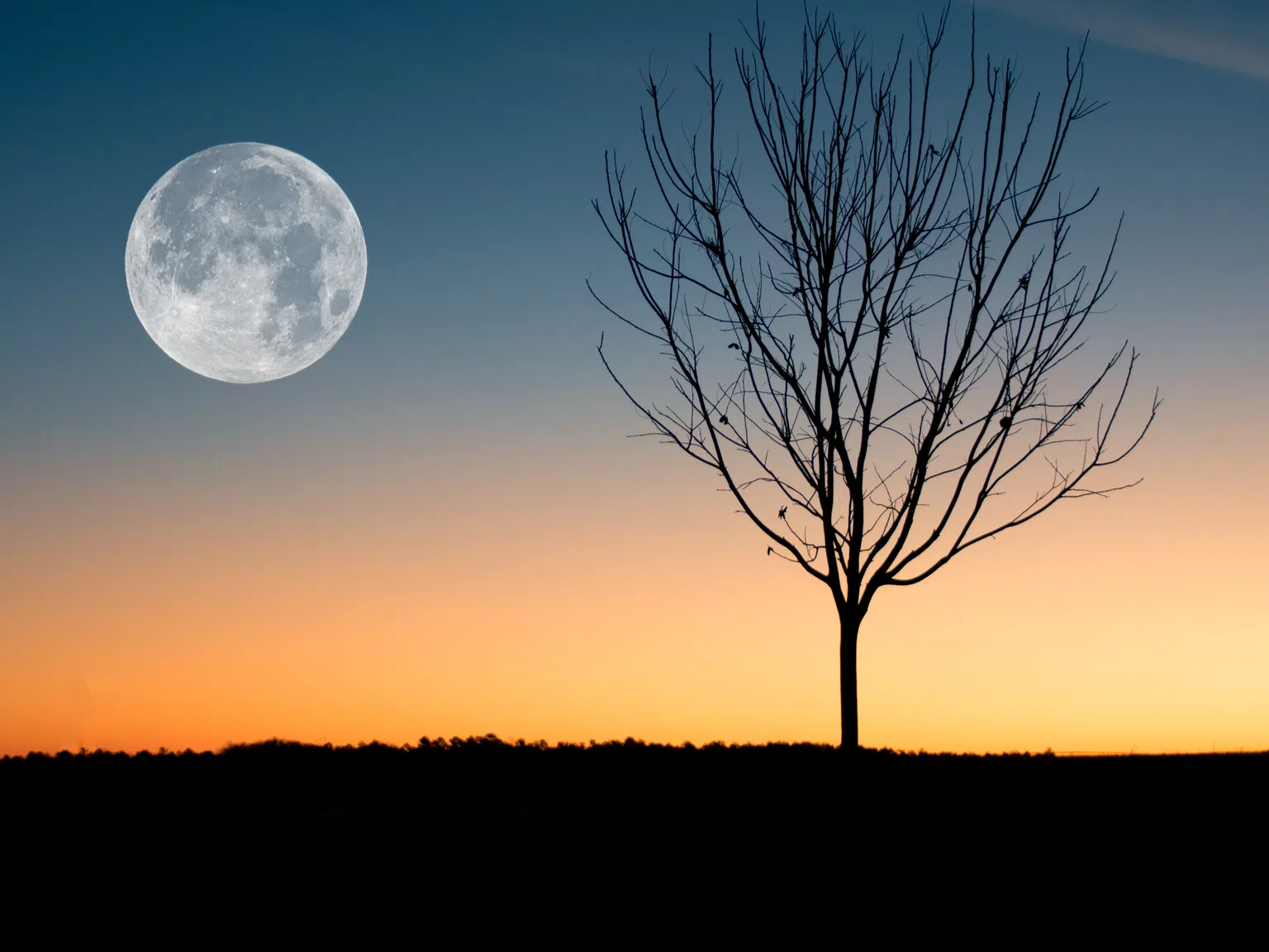 Как да живеем съобразно Луната според астрологията