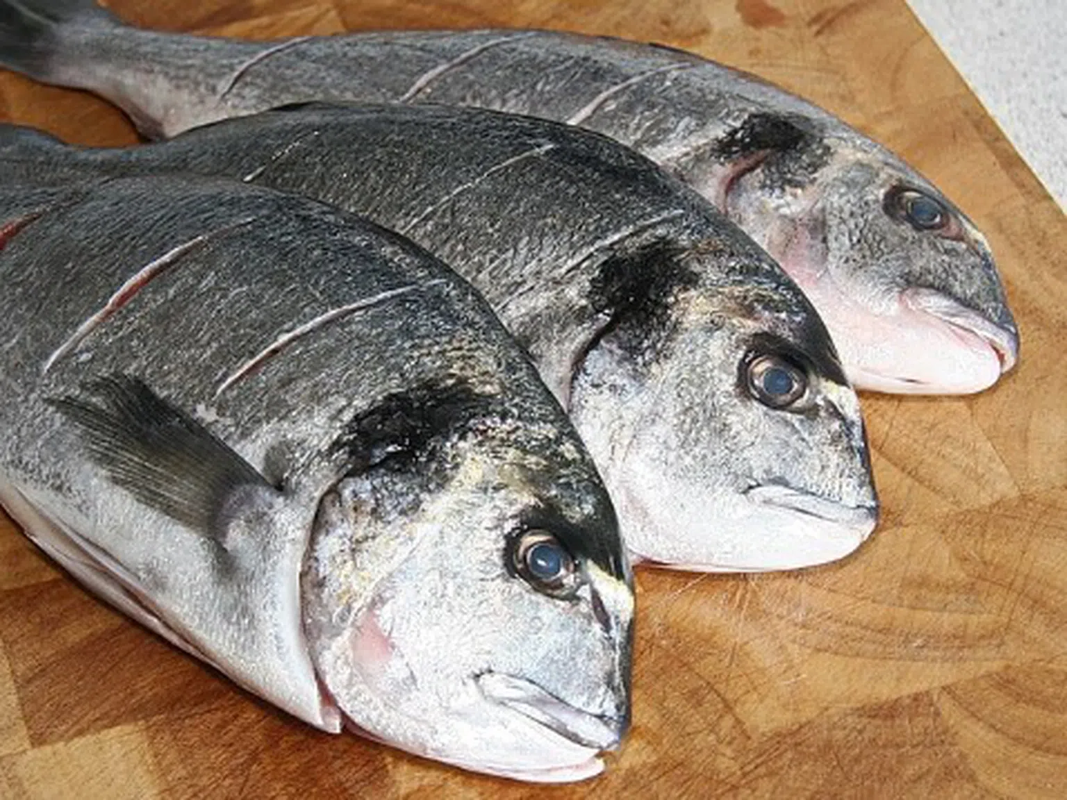 Учени: не купувайте тези риби, те са пълни с токсини