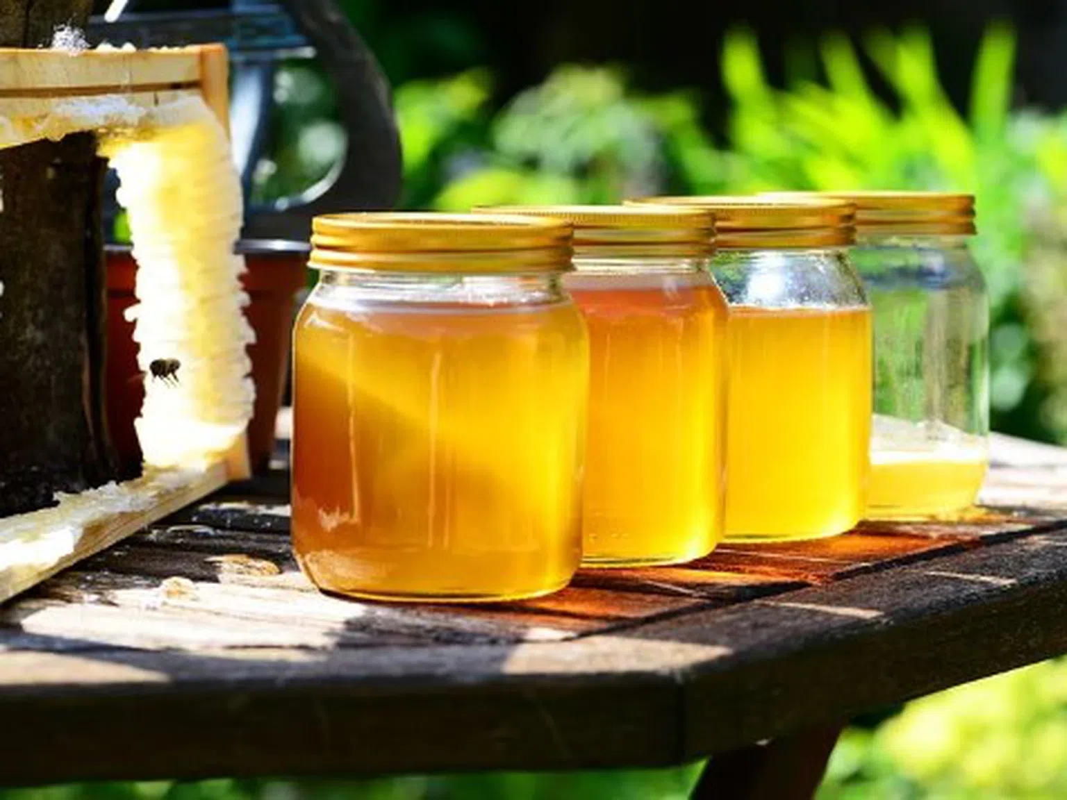Съседката прави тази тинктура от мед - помага при възпалено гърло и дезинфекцира тялото
