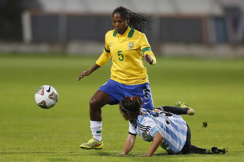 Formiga atuando pelo Brasil.