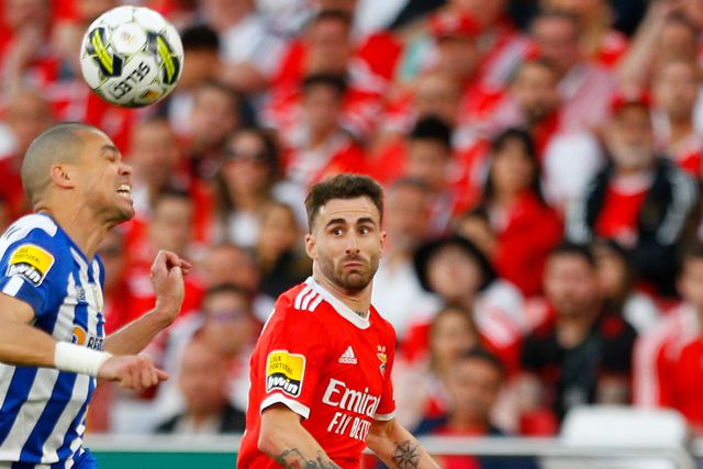 Especiais, especialíssimos...