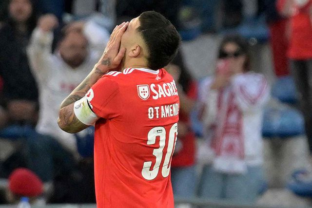 Várias verdades e uma mentira