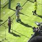 Adepta cantou música dedicada a Jota antes do Old Firm