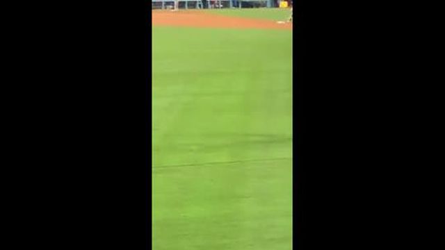 Insólito: adepto invade relvado para fazer pedido de casamento e acaba detido