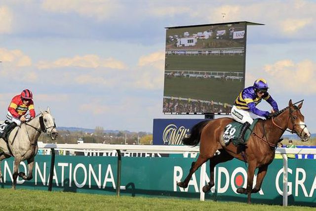 Insólito: Grand National acaba com três cavalos mortos e 118 detidos por protestos