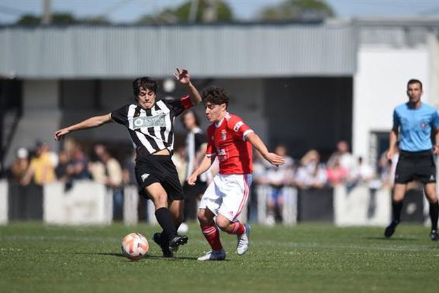 Águias vencem tigres e mantêm liderança