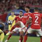 «Não foi demérito do Benfica, mas grande mérito do Inter»