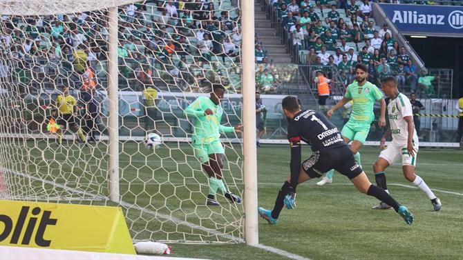 Abel Ferreira arranca defesa do título com vitória sobre Ivo Vieira... e é expulso