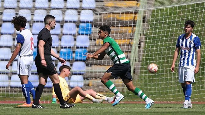 Leão de garras afiadas vence dragão