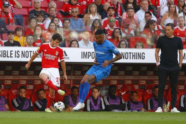 Roger Schmidt elogia João Neves: «É uma mistura de alegria, confiança e qualidade»