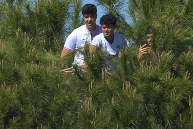 Insólito: Adeptos trepam árvore para assistir ao Getafe-Barcelona (vídeo)