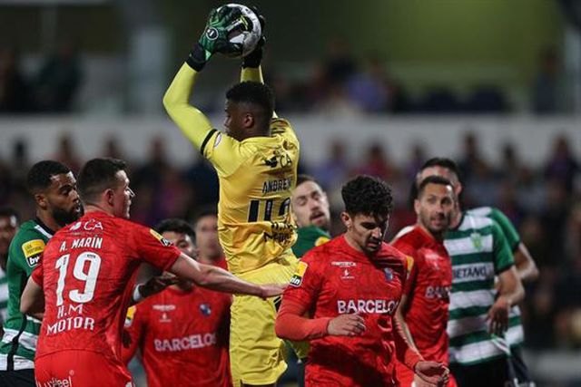 «Não sofremos muito»