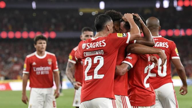 «Benfica não pode deixar fugir este pássaro!»