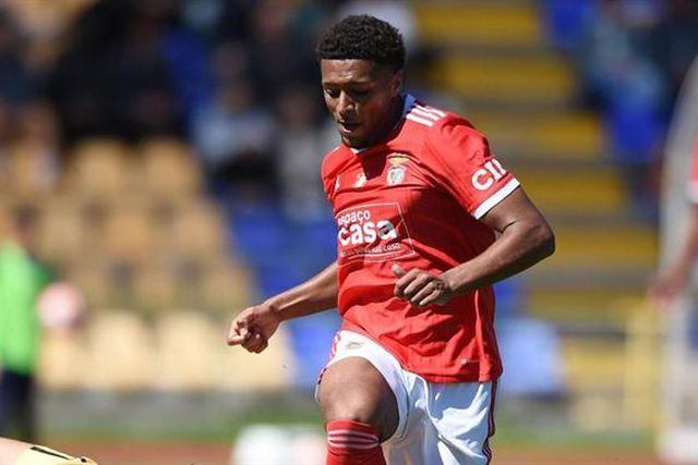 Benfica goleia Vizela e retoma liderança igualada