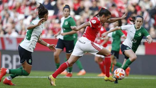 Esperados 30 mil na Luz para o Benfica-Sporting