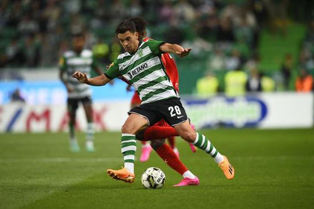 Leões empatam com autogolo (vídeo)