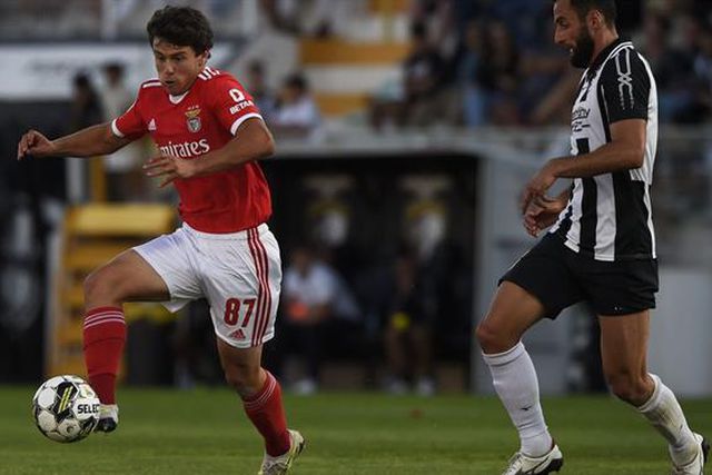 «Nunca foge do teu pé...»: Companheiros rendidos a João Neves