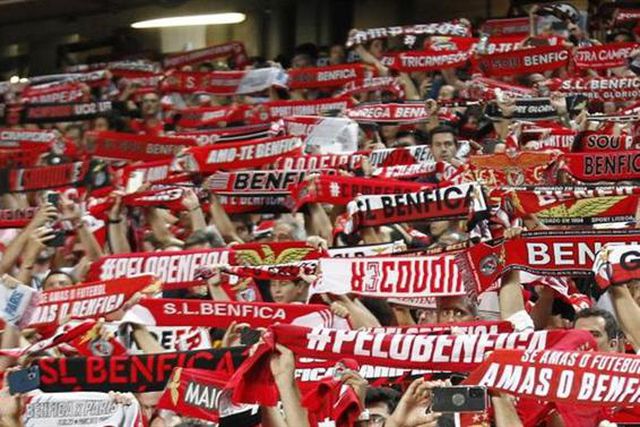 «Adeptos incansáveis... à Benfica!» (vídeos)