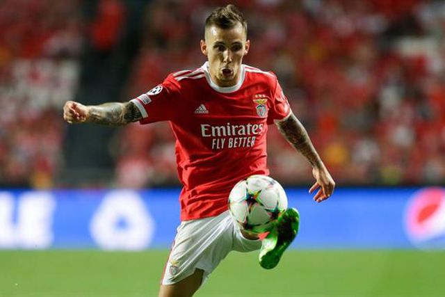 «Ninguém troca o Benfica pelo Leverkusen!»