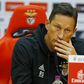 Roger Schmidt fala sobre Florentino e Rafa na Seleção Nacional