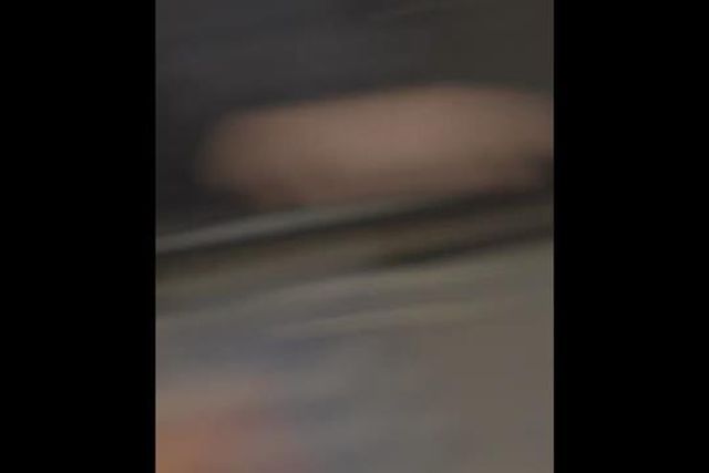 O novo equipamento alternativo do Benfica