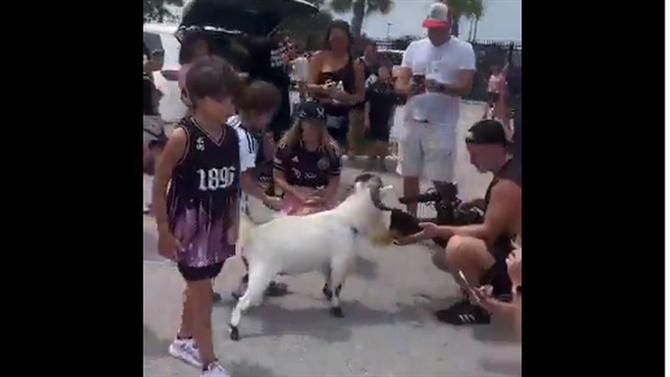 Incrível: Levaram uma cabra para a apresentação de Messi! (vídeo)
