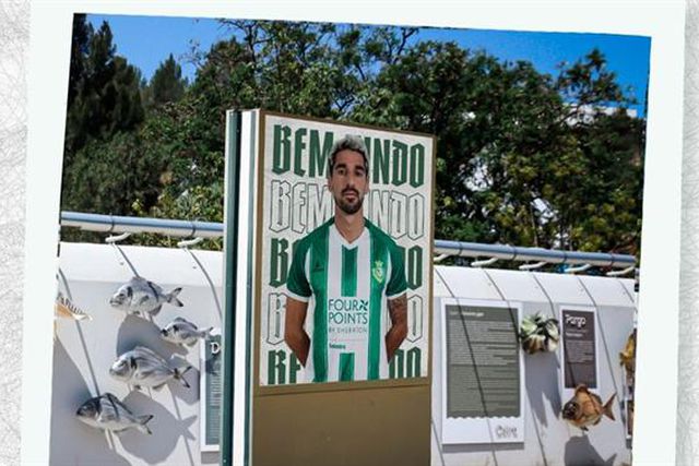 Oficial: Sadinos anunciam um dos destaques da Liga 3