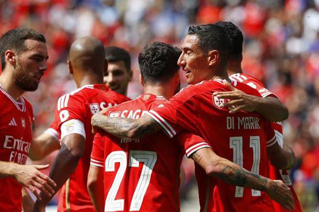 O que disse o estágio a Roger Schmidt: Os mais e os menos