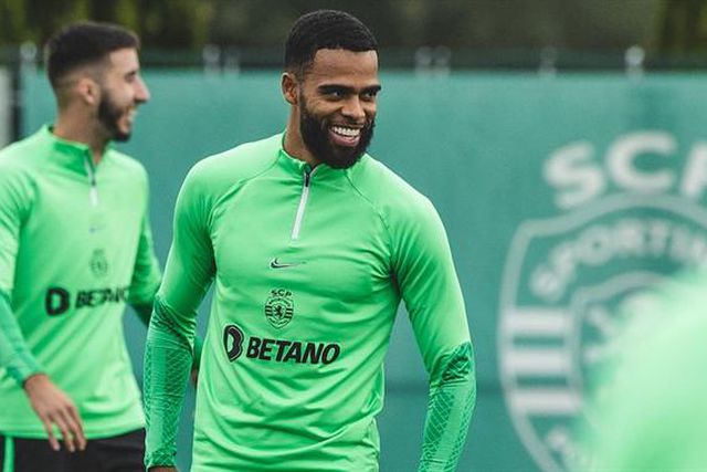 Trio de leões começa a trabalhar segunda-feira