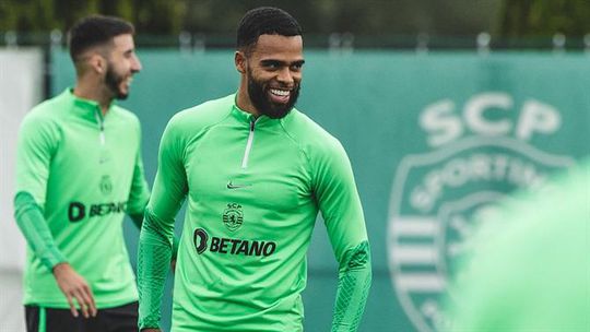 Trio de leões começa a trabalhar segunda-feira