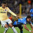 Rédea curta para Veron