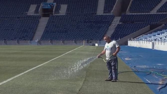 Relvado do Dragão está pronto (vídeo)