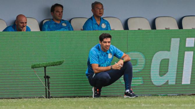 «É uma oportunidade para quem tem fome de gozar com o Palmeiras...»