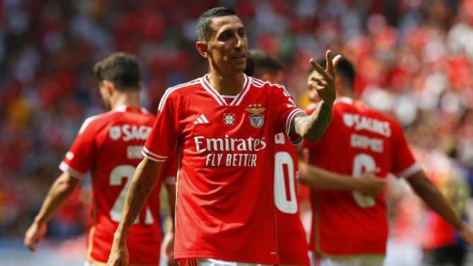 Sondagem: Benfica está mais forte do que na época passada? Veja o resultado esmagador