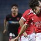 «Especial é jogar com a camisola do Benfica»