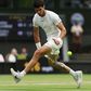 Wimbledon: Alcaraz e Djokovic avançam; Tsitsipas cai