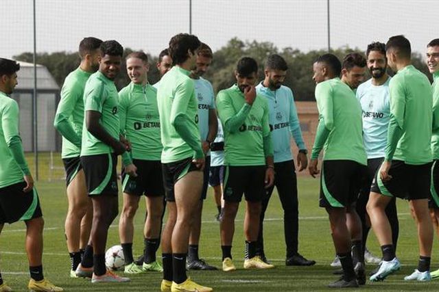 Leões regressam ao trabalho após vitória europeia