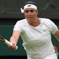 Jabeur e Vondrousova na final de Wimbledon