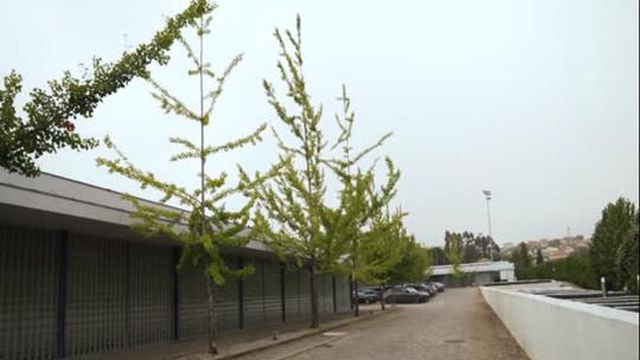 O regresso dos dragões ao trabalho. Imagens exclusivas do dia 1