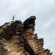Red Bull Cliff Diving cancelado