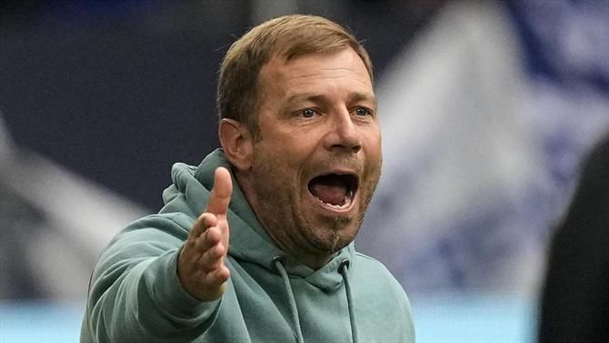 Schalke demite treinador